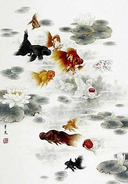 金鱼图图片