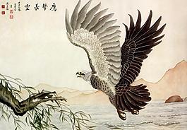 鷹擊長空圖片