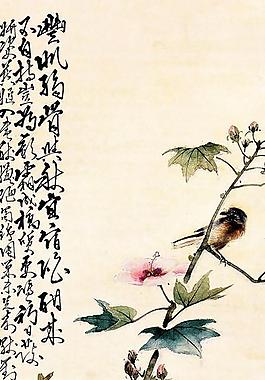花鳥小品圖片