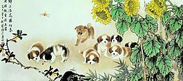 葵花飄香圖片
