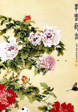 牡丹圖圖片