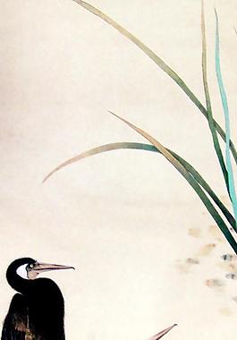 花鳥小品圖片