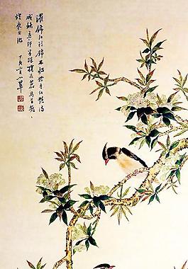 花鳥小品圖片