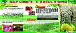 農(nóng)業(yè)展板圖片