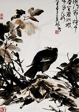 花鳥圖片