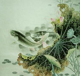 蓮花鯉魚圖片