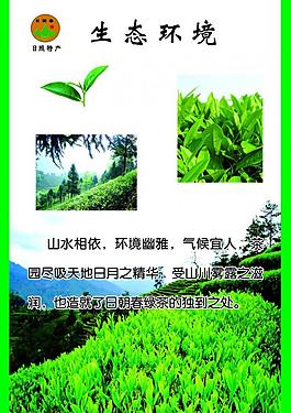 茶展板圖片