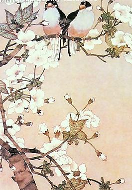 樱花小鸟图片