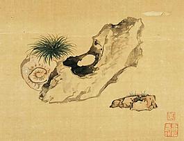 花卉奇石小品圖片