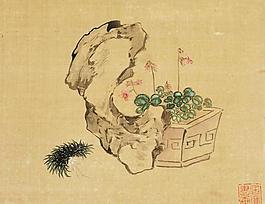 花卉蟲奇石小品圖片