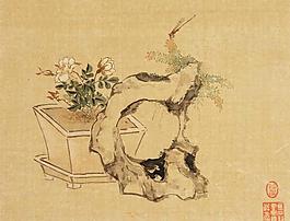 花卉奇石小品圖片