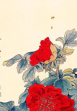 牡丹图图片