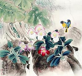 花鳥小品圖片