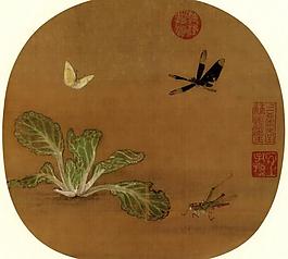 野蔬草蟲圖圖片