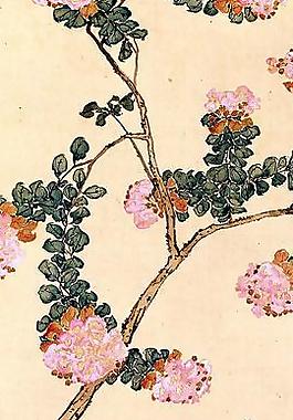 花草蟲小品圖片