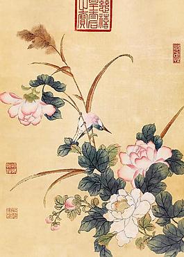 芙蓉小鸟图片