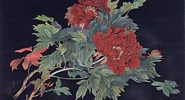 富麗圖片