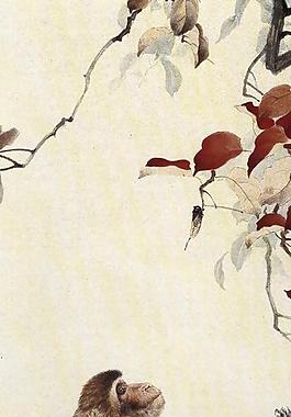 仰望图片