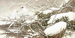 冬景圖片