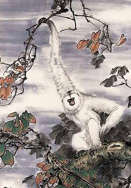 老树白猿图片