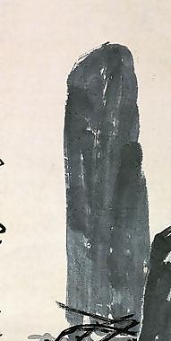山石蘭花圖片