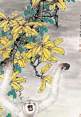 黄叶白猿图片