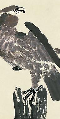鳥(niǎo)瞰圖片