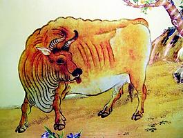 黄牛图图片