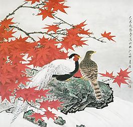 听水图片