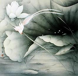 野趣圖片