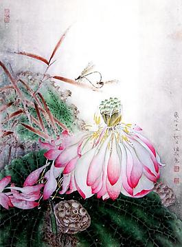 荷花蜻蜓图片