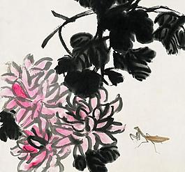 花中螳螂圖片