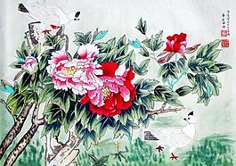 春光明媚圖片