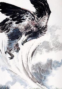 鷹擊長空圖片