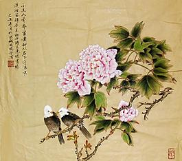 牡丹圖圖片