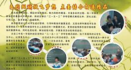 班级展板图片