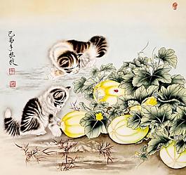 貓趣圖片