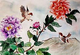 花鳥(niǎo)圖圖片