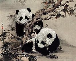 熊猫昆虫图片