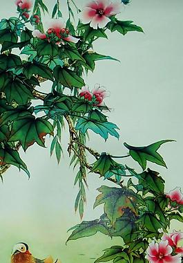 芙蓉鸳鸯图片