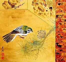 松枝山雀圖片