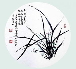 蘭花圖圖片