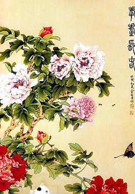 牡丹白貓蝴蝶圖圖片