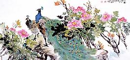 春光圖片
