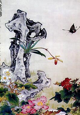 耄耄图图片