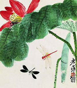 荷花圖片
