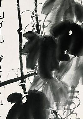 白石國畫圖片