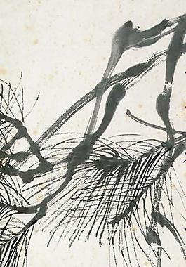 杏子塢圖片