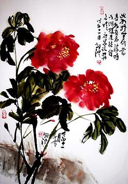 牡丹圖圖片