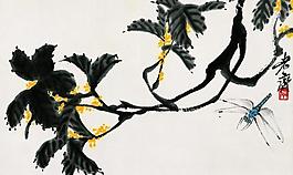 枇杷枝圖片